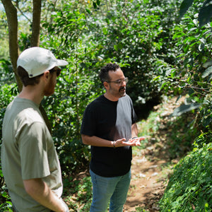 Finca Los Bellotos